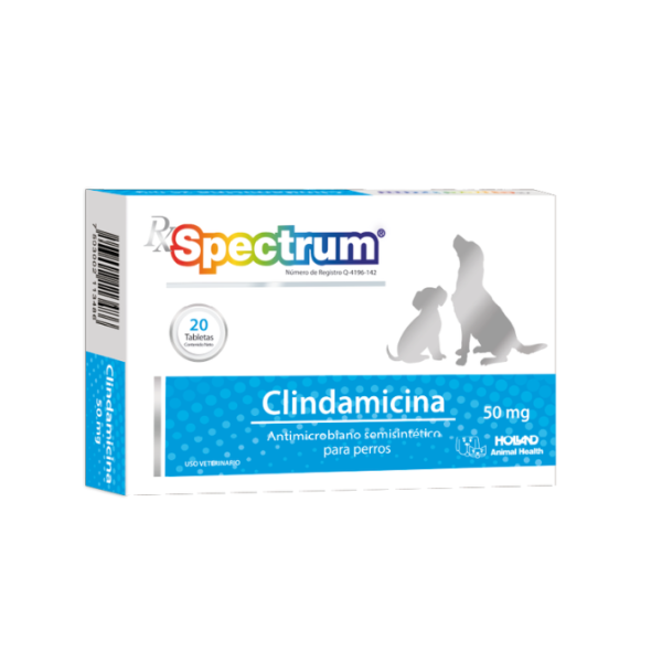 Clindamicina antimicrobiano semisténtico para perros 50mg