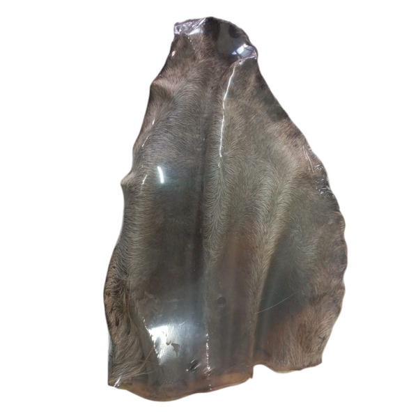 Oreja de res grande Bonavitta