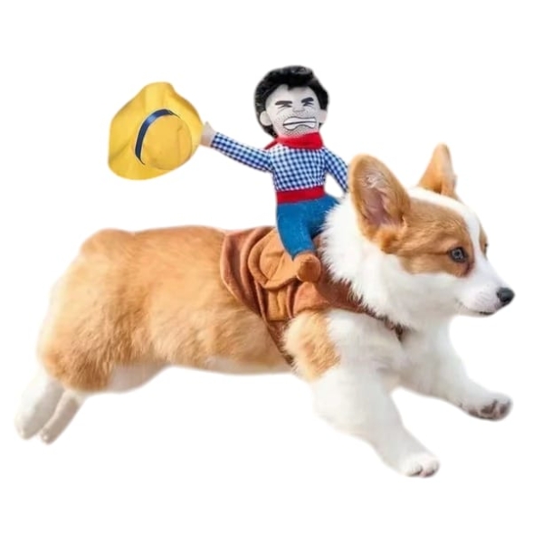 Traje vaquero ¡yeehaw!