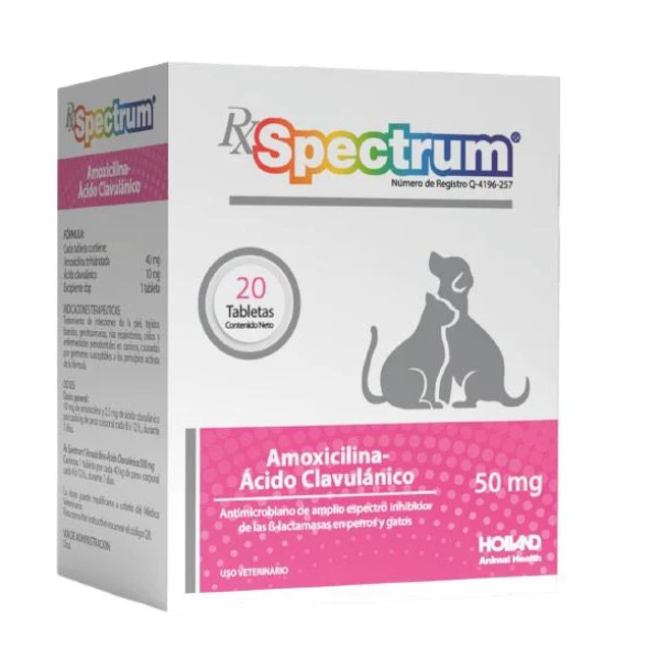 Amoxicilina ácido clavulánico 20 tabletas