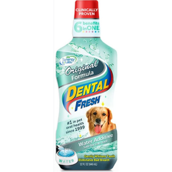 Dental fresh